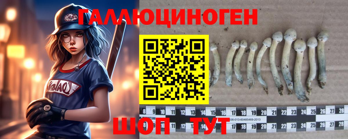 Псилоцибиновые грибы GOLDEN TEACHER Рыбинск